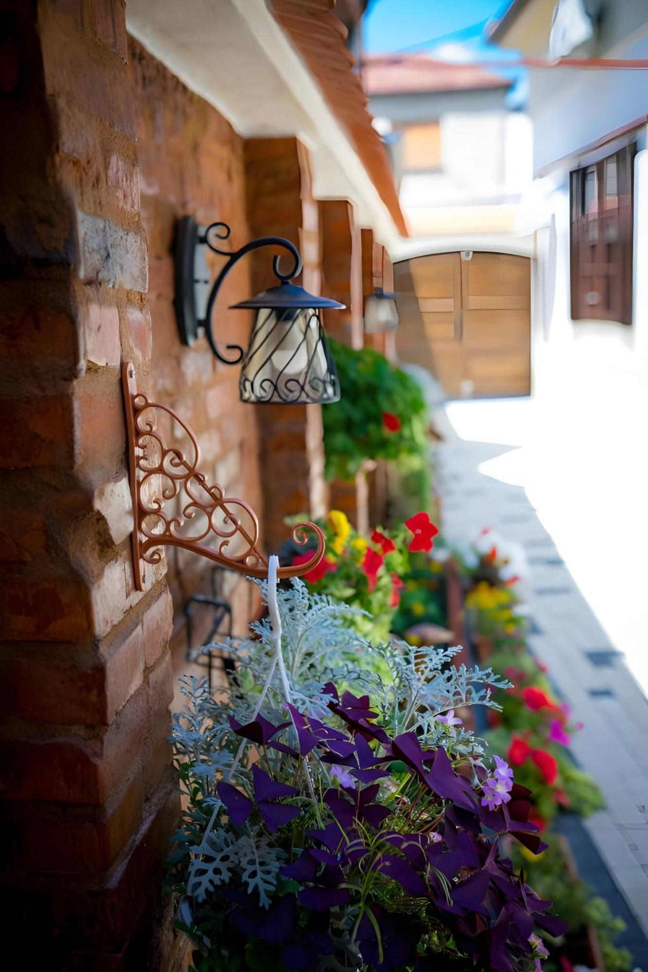 Cochet House Sibiu Aparthotel Екстериор снимка